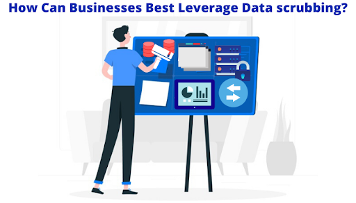 Businesses Best Leverage Data scrubbing