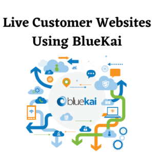 Live Customer Websites using BlueKai