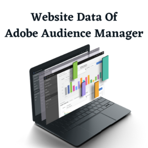 Website data of Adobe Audience Manager