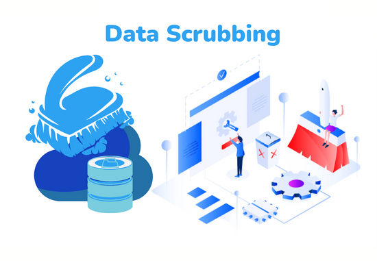 data scrubbing