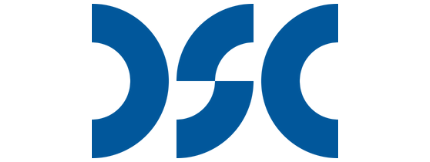 Design Standards Corporation logo