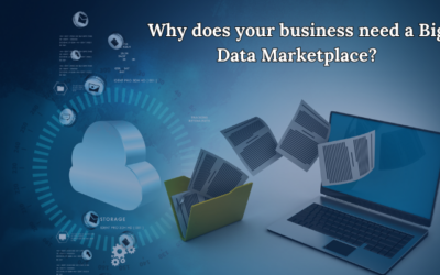 Why does your business need a big data marketplace?
